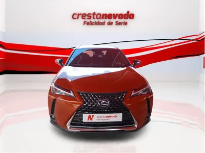 Usado Lexus UX Business Edition 184 CV (135 kW) 2022 SUV
