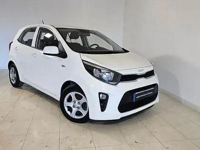 Usado Kia Picanto 67 CV (49 kW) 2024 Blanco Utilitario