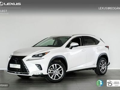 Usado Lexus NX300h Executive Line 197 CV (144 kW) 2020 Blanco SUV