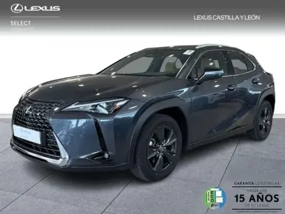 Usado Lexus UX 300h 199 CV (146 kW) 2025 Gris SUV