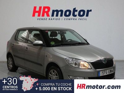Gris Usado 2010 Skoda Fabia Style Utilitario | 4290 € (Precio justo)