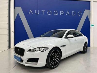 Usado Jaguar XF Prestige 180 CV (132 kW) 2016 Blanco Berlina