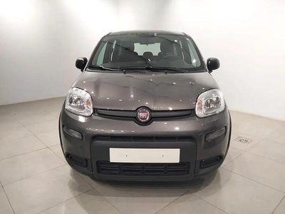 Usado Fiat Panda 70 HP (51 kW) 2024 Cinzento Citadino