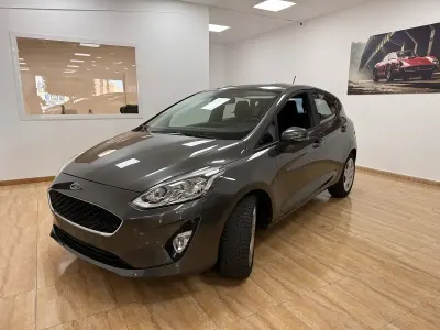 Usado Ford Fiesta Trend 86 CV (63 kW) 2019 Gris Utilitario
