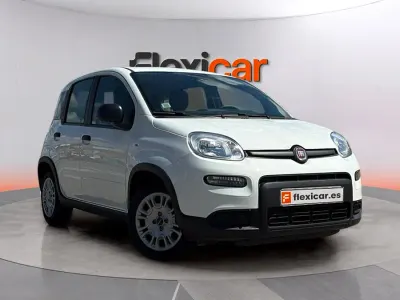 Usado Fiat Panda City Life 70 CV (51 kW) 2023 Blanco Utilitario