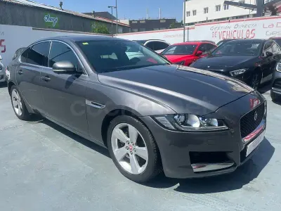 Usado Jaguar XF Prestige 163 CV (119 kW) 2016 Gris / plata Berlina