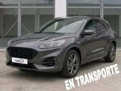 Usado Ford Kuga ST-Line X 225 CV (165 kW) 2023 Gris SUV