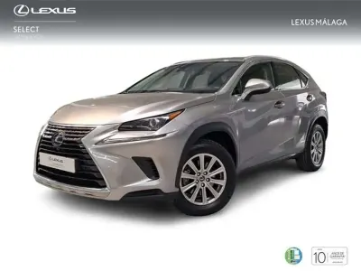 Usado Lexus NX300h Business Edition 197 CV (144 kW) 2021 Gris SUV