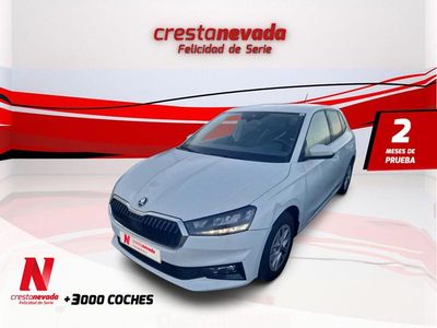 Blanco Usado 2024 Skoda Fabia Essence | 16.990 € (Un poco caro)
