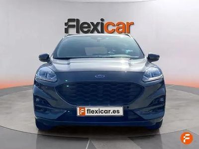 Brugt Ford Kuga ST-Line 120 HK (88 kW) 2024 Grå SUV