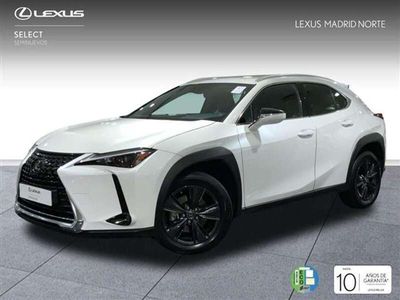 usado Lexus UX 250h Business 2WD