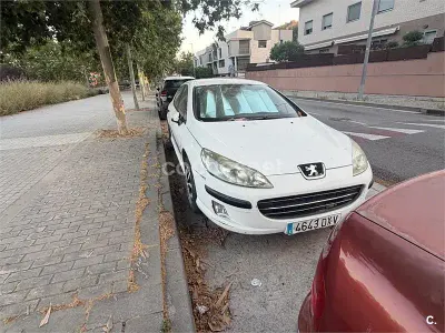 Usado Peugeot 407