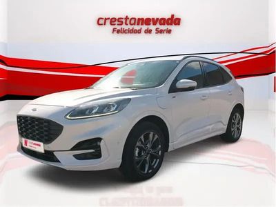 Usado Ford Kuga ST-Line X 225 CV (165 kW) 2022 SUV