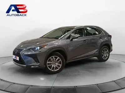 Usado Lexus NX300h Executive Line 197 CV (144 kW) 2020 Gris / plata SUV