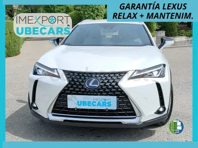 Usado Lexus UX Business Edition 184 CV (135 kW) 2020 Blanco SUV