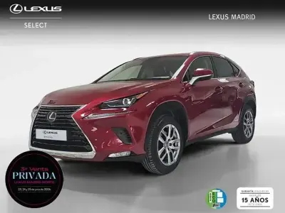 Usado Lexus NX300h Executive Line 197 CV (144 kW) 2020 Rojo SUV