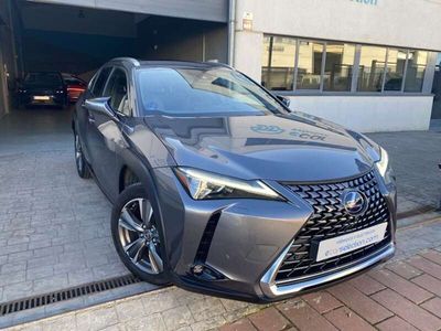 usado Lexus UX 300e Luxury