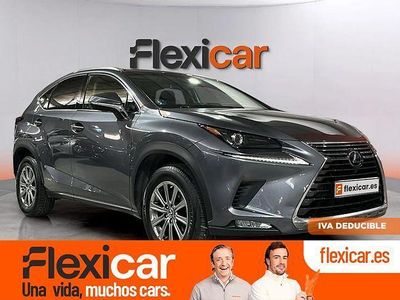 Usado Lexus NX300h Business Edition 197 CV (144 kW) 2019 Gris SUV
