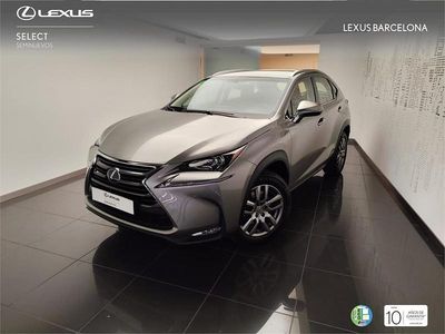 Usado Lexus NX300h Executive Line 197 CV (144 kW) 2015 Gris / plata SUV