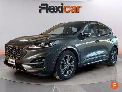 Usado Ford Kuga ST-Line 120 CV (88 kW) 2024 Gris SUV