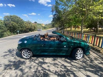 Begagnad Peugeot 206 Roland Garros 110 HK (80 kW) 2003 Grön Cab