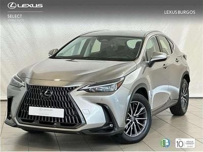 Usado Lexus NX450h+ 310 CV (228 kW) 2025 Gris SUV