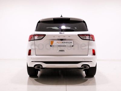 Usado Ford Kuga ST-Line 183 CV (134 kW) 2024 Blanco SUV