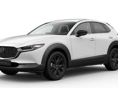 Gris Usado 2024 Mazda CX-30 Homura-Line SUV | 29.350 € (Caro)