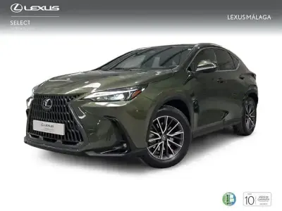 Usado Lexus NX350h Executive Line 242 CV (177 kW) 2023 Verde SUV