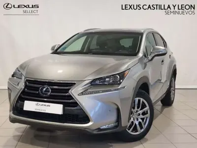 Usado Lexus NX300h Executive Line 197 CV (144 kW) 2016 Gris SUV