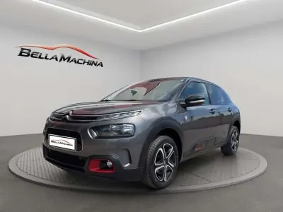 Brugt Citroën C4 Cactus