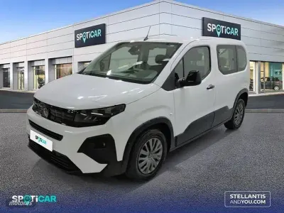Usado Peugeot Rifter
