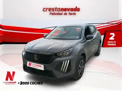 Käytetty Peugeot 2008 Active 101 HP (74 kW) 2023 Harmaa Katumaasturi