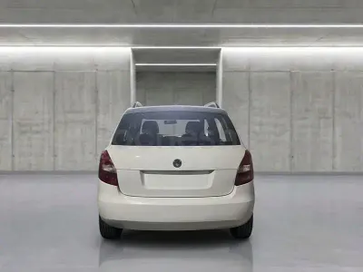 Käytetty Skoda Fabia