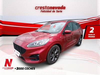 Usado Ford Kuga ST-Line 150 CV (110 kW) 2022 Rojo SUV