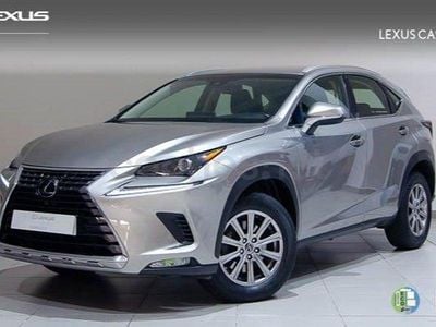 Usado Lexus NX300h Business Edition 197 CV (144 kW) 2019 Gris / plata SUV