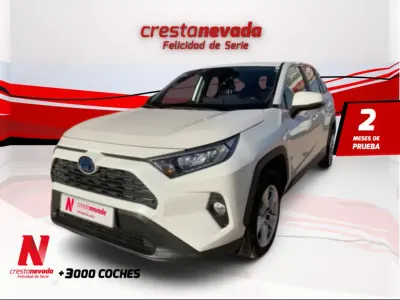 Occasion Toyota RAV4 Hybrid Business Edition 220 ch (161 kW) 2020 Blanc SUV