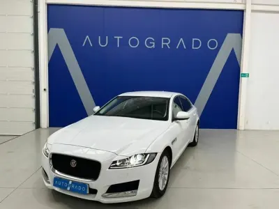 Usado Jaguar XF Prestige 180 CV (132 kW) 2016 Blanco Berlina