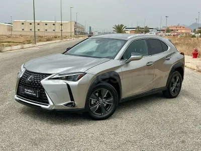 Usado Lexus UX