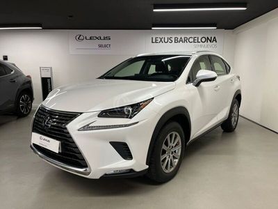 usado Lexus NX300h Business Navigation 2wd