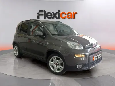 Käytetty Fiat Panda Cross Cross 71 HP (52 kW) 2023 Harmaa Viistoperä
