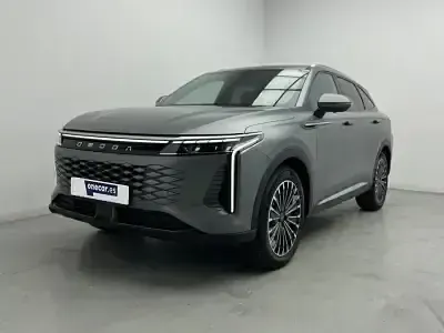 Usado Omoda 9