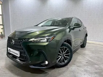 Usado Lexus NX350h Executive Line 242 CV (177 kW) 2022 Verde SUV