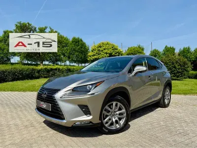 Usado Lexus NX300h Executive Line 197 CV (144 kW) 2021 Gris / plata SUV