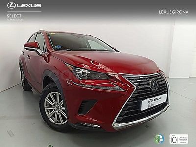Usado Lexus NX300h Business Edition 197 CV (144 kW) 2020 Granate SUV