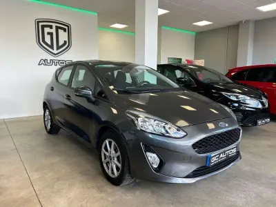Usado Ford Fiesta Trend 86 CV (63 kW) 2019 Gris Utilitario