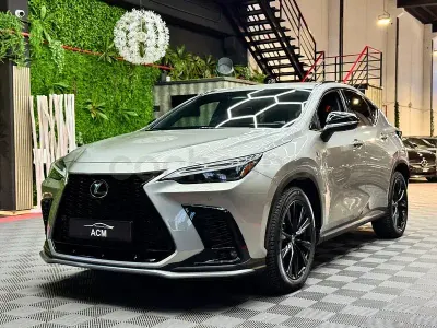 Usado Lexus NX450h+