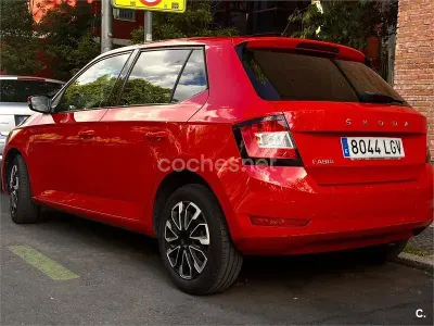 Brugt Skoda Fabia