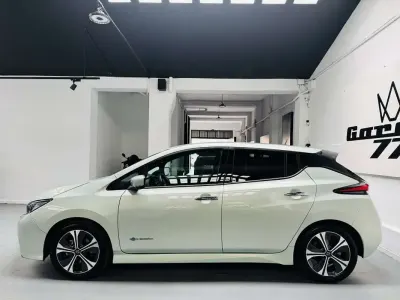 Usado Nissan Leaf