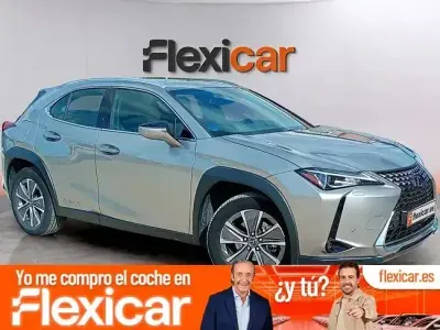 Usado Lexus UX 300e